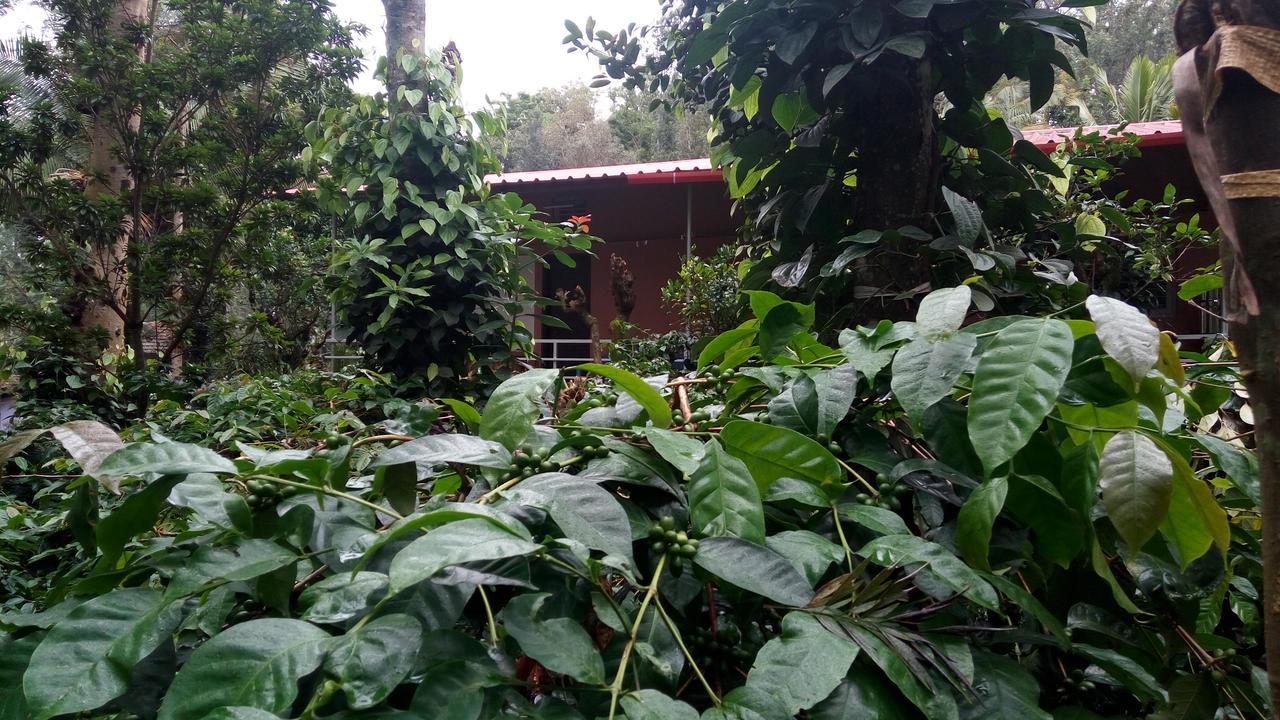 Staysimple Spicefarm Somvārpet Exterior foto